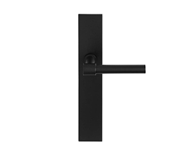 Door handles on plate