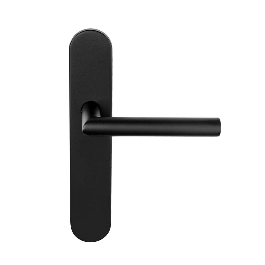 Door Handle on Plate