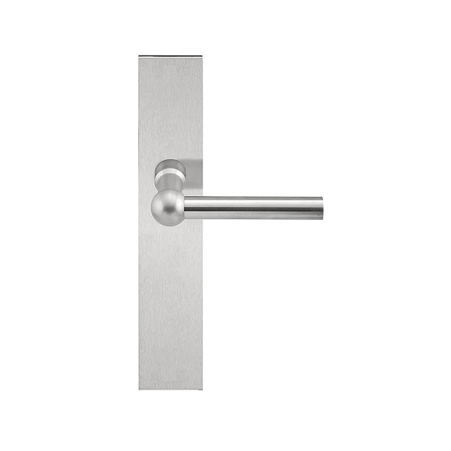 Door Handle on Plate