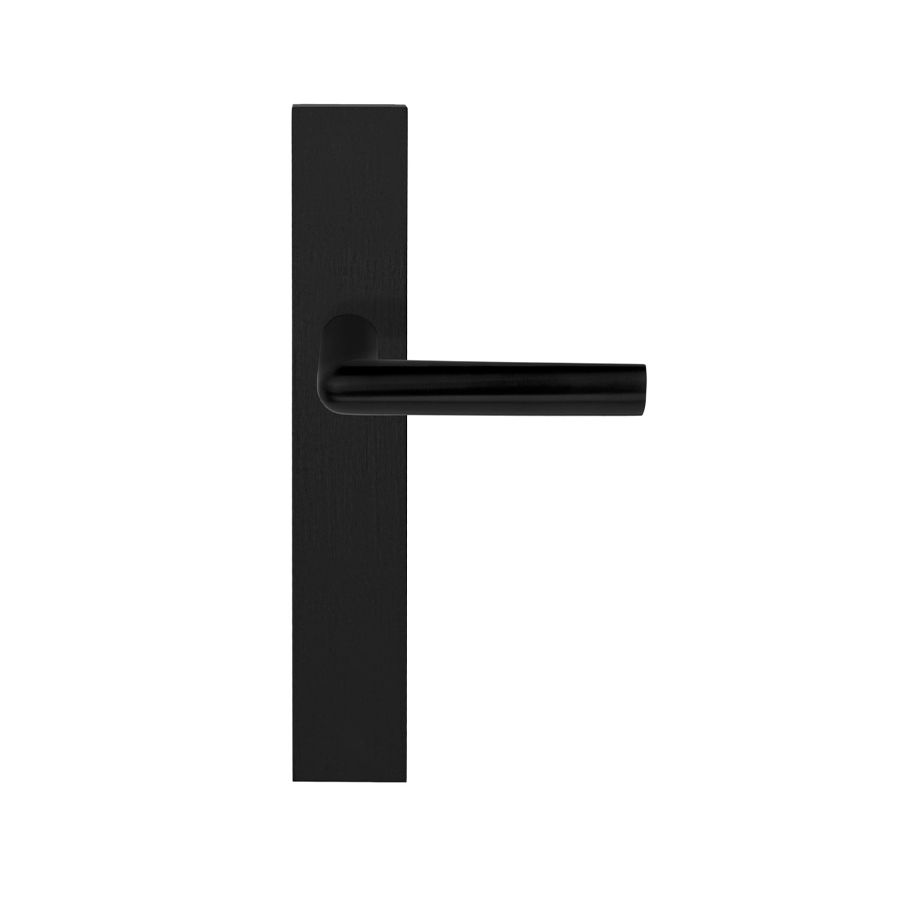 Door Handle on Plate