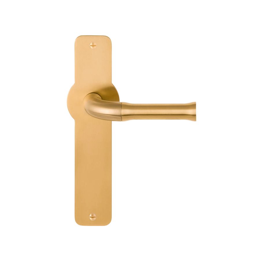 formani nour door handle on plate pvd satin gold