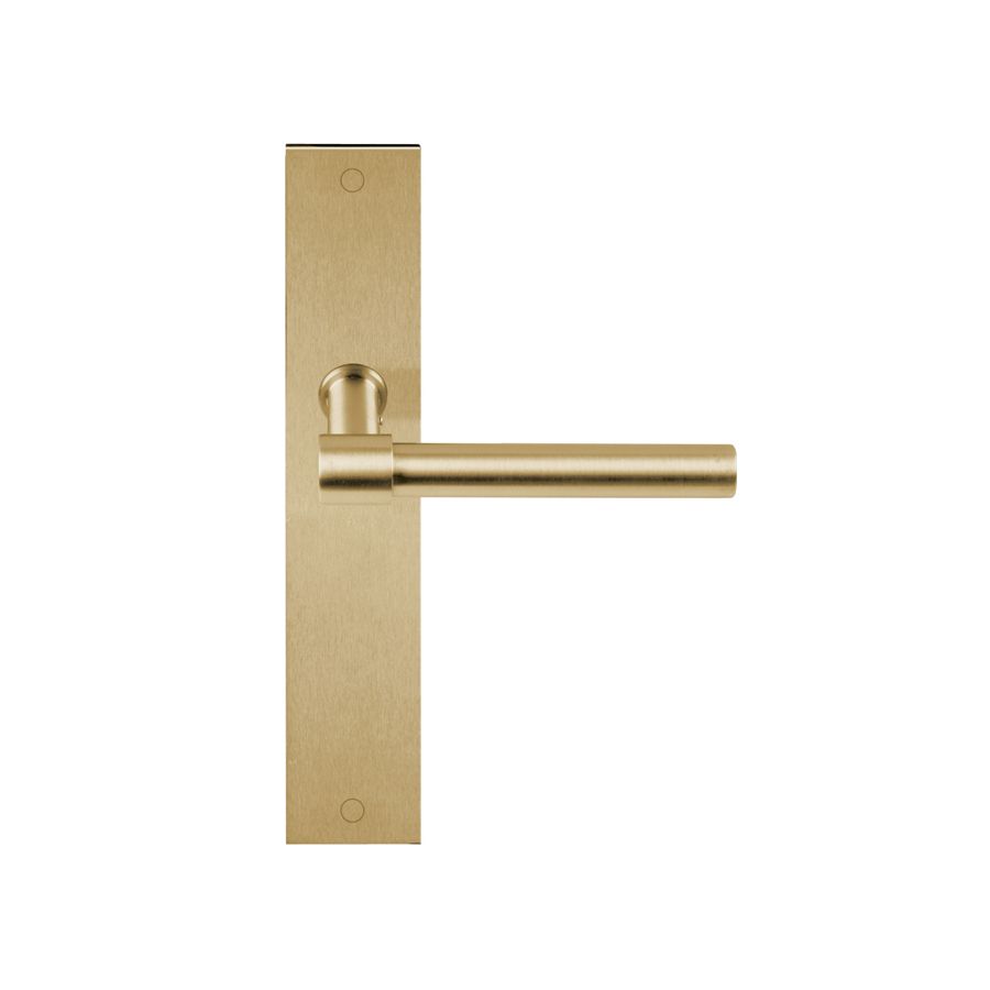 formani one door handles on plate pvd satin gold