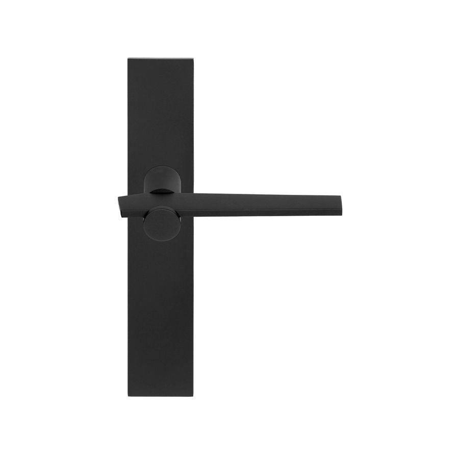 Door Handle on Plate