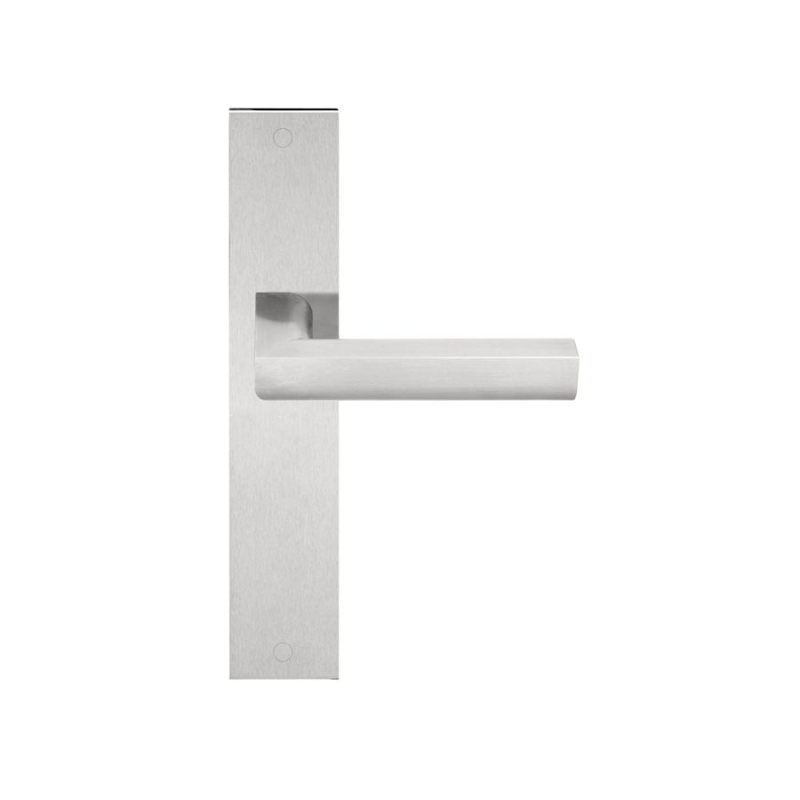 Door Handle on Plate